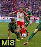 03.02.2024, Fussball 1. Bundesliga 2023/2024, 20.Spieltag, FC Bayern Mnchen - Borussia Mnchengladbach, in der Allianz-Arena Mnchen.  mitte: Harry Kane (FC Bayern Mnchen) von drei Gladbachern umzingelt.


