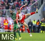 03.02.2024, Fussball 1. Bundesliga 2023/2024, 20.Spieltag, FC Bayern Mnchen - Borussia Mnchengladbach, in der Allianz-Arena Mnchen.  v.li: Jordan (Borussia Mnchengladbach) gegen Eric Dier (FC Bayern Mnchen) 


