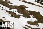 25.03.2024 , Ein Skilift in Grasgehren im Allgu, Trostlos fr Wintersportler und Liftbetreiber, wenig Schneefall, Gras und Erde schaut aus der dnnen Schneeschicht hervor.  
