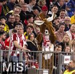 30.03.2024, Fussball 1. Bundesliga 2023/2024, 27.Spieltag, FC Bayern Mnchen - Borussia Dortmund, in der Allianz-Arena Mnchen.  Osterhschen unter den Bayernfans ist Traurig wegen der Niederlage. 