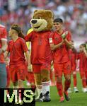 12.05.2024, Fussball 1. Bundesliga 2023/2024, 33.Spieltag, FC Bayern Mnchen - VfL Wolfsburg, in der Allianz-Arena Mnchen.   Berni das Maskottchen lobt Bryan Zaragoza (FC Bayern Mnchen) und Matteo Perez Vinlf (Bayern Mnchen) 


