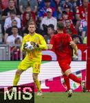 12.05.2024, Fussball 1. Bundesliga 2023/2024, 33.Spieltag, FC Bayern Mnchen - VfL Wolfsburg, in der Allianz-Arena Mnchen. Torwart Daniel Peretz (FC Bayern Mnchen) am Ball 

