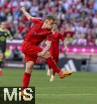 12.05.2024, Fussball 1. Bundesliga 2023/2024, 33.Spieltag, FC Bayern Mnchen - VfL Wolfsburg, in der Allianz-Arena Mnchen. Lovro Zvonarek (FC Bayern Mnchen) schuss 

