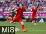 12.05.2024, Fussball 1. Bundesliga 2023/2024, 33.Spieltag, FC Bayern Mnchen - VfL Wolfsburg, in der Allianz-Arena Mnchen. Lovro Zvonarek (FC Bayern Mnchen) schuss 

