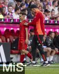 12.05.2024, Fussball 1. Bundesliga 2023/2024, 33.Spieltag, FC Bayern Mnchen - VfL Wolfsburg, in der Allianz-Arena Mnchen. Bryan Zaragoza (FC Bayern Mnchen) wird bei seiner Auswechslung von Trainer Thomas Tuchel (re, FC Bayern Mnchen) beglckwnscht.

