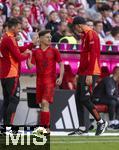 12.05.2024, Fussball 1. Bundesliga 2023/2024, 33.Spieltag, FC Bayern Mnchen - VfL Wolfsburg, in der Allianz-Arena Mnchen. Bryan Zaragoza (FC Bayern Mnchen) wird bei seiner Auswechslung von Trainer Thomas Tuchel (re, FC Bayern Mnchen) beglckwnscht.

