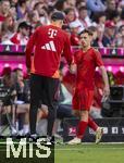 12.05.2024, Fussball 1. Bundesliga 2023/2024, 33.Spieltag, FC Bayern Mnchen - VfL Wolfsburg, in der Allianz-Arena Mnchen. Bryan Zaragoza (FC Bayern Mnchen) wird bei seiner Auswechslung von Trainer Thomas Tuchel (li, FC Bayern Mnchen) beglckwnscht.

