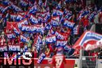 18.05.2024, Fussball 1. Bundesliga 2023/2024, 34.Spieltag, 1.FC Heidenheim - 1.FC Kln, in der Voith-Arena (Heidenheim). Fans Heidenheim schwenken Fhnchen



