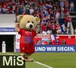 18.05.2024, Fussball 1. Bundesliga 2023/2024, 34.Spieltag, 1.FC Heidenheim - 1.FC Kln, in der Voith-Arena (Heidenheim).  Paule. Der Steiff-Br, Maskottchen von Heidenheim.



