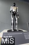 22.05.2024,  Ein Tesla Bot Optimus (Humanoider Roboter mit KI) steht im TESLA-Showroom Mnchen am Eingang zur Begutachtung der Besucher.