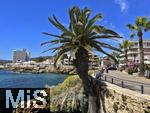 10.06.2024, Beliebtes Reiseziel der Deutschen, die Balearen-Insel Mallorca (Spanien).  Promenade am Hafen von Cala Ratjada,    