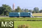 20.09.2024, Autobahn A96 bei Mindelheim im Unterallgu, reger Verkehr richtung Westen. Tiertransporter