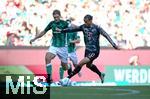 21.09.2024, Fussball 1. Bundesliga 2024/2025, 4. Spieltag, SV Werder Bremen - FC Bayern Mnchen, im Wohninvest Weserstadion Bremen. (L-R) Niklas Stark (Werder Bremen) gegen Leroy Sane (Bayern Mnchen)


