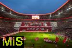 19.10.2024, Fussball 1. Bundesliga 2024/2025, 7. Spieltag,  FC Bayern Mnchen - VfB Stuttgart, in der Allianz-Arena Mnchen, Groe Fan-Choreografie der Bayernfans in der Sdkurve, mit Bildern von historischen Europapokal-Momenten, mit Gerd Mller, Franz Bulle Roth,  Uli Hoene (FC Bayern Mnchen, Hoeness), Franz Beckenbauer, und anderen, die Mannschaften laufen derweil aufs Spielfeld ein.


