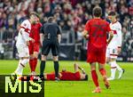 19.10.2024, Fussball 1. Bundesliga 2024/2025, 7. Spieltag,  FC Bayern Mnchen - VfB Stuttgart, in der Allianz-Arena Mnchen, Aleksandar Pavlovic (Bayern Mnchen)  liegt mit einer schweren Schulterverletzung nach einem Sturz auf die Schulter am Boden.


