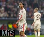 06.11.2024,  Fussball UEFA Championsleague 2024/2025: 4.Spieltag,  FC Bayern Mnchen - Benfica Lissabon, in der Allianz-Arena Mnchen.  Leroy Sane (Bayern Mnchen) 
 
