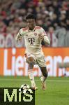 06.11.2024,  Fussball UEFA Championsleague 2024/2025: 4.Spieltag,  FC Bayern Mnchen - Benfica Lissabon, in der Allianz-Arena Mnchen.  Kingsley Coman (FC Bayern Mnchen) am Ball 
