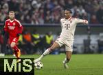 06.11.2024,  Fussball UEFA Championsleague 2024/2025: 4.Spieltag,  FC Bayern Mnchen - Benfica Lissabon, in der Allianz-Arena Mnchen. Leroy Sane (Bayern Mnchen) am Ball 