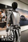 21.11.2024, US-Elektroauto-Hersteller TESLA stellt sein Autonomes Robotaxi CYBERCAB in Berlin vor.  Daneben steht auch ein Prototyp des Tesla Bot 2023 im Tesla Store Mall of Berlin.  Ein Humanoider Roboter.