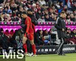 22.11.2024, Fussball 1. Bundesliga 2024/2025, 11. Spieltag,  FC Bayern Mnchen - FC Augsburg, in der Allianz-Arena Mnchen, Trainer Vincent Kompany (FC Bayern Mnchen) wechselt Jamal Musiala (FC Bayern Mnchen) aus.

