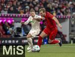 22.11.2024, Fussball 1. Bundesliga 2024/2025, 11. Spieltag,  FC Bayern Mnchen - FC Augsburg, in der Allianz-Arena Mnchen, v.li: Mads Pedersen (FC Augsburg) gegen Harry Kane (FC Bayern Mnchen) 

