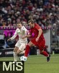 22.11.2024, Fussball 1. Bundesliga 2024/2025, 11. Spieltag,  FC Bayern Mnchen - FC Augsburg, in der Allianz-Arena Mnchen, v.li: Mads Pedersen (FC Augsburg) gegen Harry Kane (FC Bayern Mnchen) 

