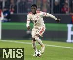 26.11.2024,  Fussball UEFA Championsleague 2024/2025: 5.Spieltag, FC Bayern Mnchen - Paris St. Germain, in der Allianz-Arena Mnchen. Alphonso Davies (FC Bayern Mnchen) am Ball 