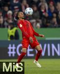 03.12.2024, Fussball DFB-Pokal 2024/2025, Achtelfinale, FC Bayern Mnchen - Bayer Leverkusen, in der Allianz-Arena Mnchen. Michael Olise (FC Bayern Mnchen) am Ball 