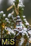 12.12.2024, Verschneiter Weihnachtsbaum auf dem Balkon.  