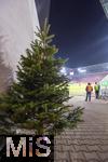 14.12.2024, Fussball 1. Bundesliga 2024/2025, 14. Spieltag, FC Augsburg - Bayer Leverkusen, in der WWK-Arena Augsburg, Am Rand des Spielfeldes steht ein Weihnachtsbaum, Geschenke liegen nicht darunter, Leverkusen entfhrte alle 3 Punkte aus Augsburg.