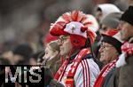 12.01.2025, Fussball 1. Bundesliga 2024/2025, 16. Spieltag, FC Augsburg - VfB Stuttgart, in der WWK-Arena Augsburg, 
 Ein Stuttgarter Fan mit einer lustigen Mtze.

