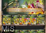 30.01.2025, Blumen Gilg in Buchloe, Im Angebot im Verkaufsraum: Blumensamenmischungen, Blumenwiesen fr den Garten