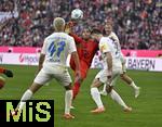 01.02.2025, Fussball 1. Bundesliga 2024/2025, 20. Spieltag,  FC Bayern Mnchen - Holstein Kiel, in der Allianz-Arena Mnchen. Torszene v.l. John Tolkin (Holstein Kiel), Serge Gnabry (FC Bayern Mnchen) 

