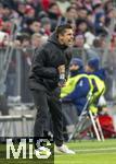 01.02.2025, Fussball 1. Bundesliga 2024/2025, 20. Spieltag,  FC Bayern Mnchen - Holstein Kiel, in der Allianz-Arena Mnchen. Trainer Marcel Rapp (Holstein Kiel) gibt lautstark Anweisungen an der Seitenlinie.