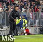 01.02.2025, Fussball 1. Bundesliga 2024/2025, 20. Spieltag,  FC Bayern Mnchen - Holstein Kiel, in der Allianz-Arena Mnchen. Trainer Marcel Rapp (Holstein Kiel) gibt lautstark Anweisungen an der Seitenlinie.