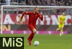 01.02.2025, Fussball 1. Bundesliga 2024/2025, 20. Spieltag,  FC Bayern Mnchen - Holstein Kiel, in der Allianz-Arena Mnchen. Konrad Laimer (FC Bayern Mnchen) am Ball 