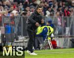 01.02.2025, Fussball 1. Bundesliga 2024/2025, 20. Spieltag,  FC Bayern Mnchen - Holstein Kiel, in der Allianz-Arena Mnchen. Trainer Marcel Rapp (Holstein Kiel) an der Seitenlinie in Rage. 