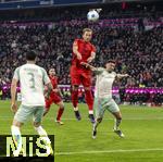 07.02.2025, Fussball 1. Bundesliga 2024/2025, 21. Spieltag,  FC Bayern Mnchen - SV Werder Bremen, in der Allianz-Arena Mnchen. li: Harry Kane (FC Bayern Mnchen) gegen Milos Veljkovic (Werder Bremen) 