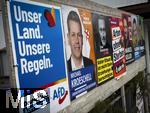 15.02.2025,  Die Deutsche Bundestagswahl am 23.2.2025 wirft ihre Schatten voraus,  Wahlplakate sumen die Strassen in Bad Wrishofen im Unterallgu, hier die Plakate der Parteien, AFD, Freie Whler, FDP, dp, SPD, CSU, die Grnen. 