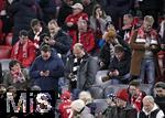 23.02.2025, Fussball 1. Bundesliga 2024/2025, 23. Spieltag,  FC Bayern Mnchen - Eintracht Frankfurt, in der Allianz-Arena Mnchen. Die Zuschauer und Fans schauen immer aufs Handy, Die Hochrechnungen der Bundestagswahl sind raus

