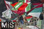 02.03.2025, Fussball 1. Bundesliga 2024/2025, 24. Spieltag, FC Augsburg - SC Freiburg, in der WWK-Arena Augsburg, Fans FCA