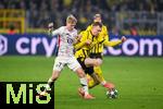 04.03.2025, Fussball UEFA Champions League 2024/2025, Achtelfinale, Borussia Dortmund - Lille OSC, im Signal-Iduna-Park, Hkon Haraldsson (OSC Lille), Maximilian Beier (Borussia Dortmund)


