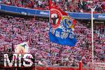 08.03.2025, Fussball 1. Bundesliga 2024/2025, 25. Spieltag,  FC Bayern Mnchen - VfL Bochum, in der Allianz-Arena Mnchen.  Bayernfans schwenken ihre Flaggen.