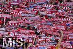 08.03.2025, Fussball 1. Bundesliga 2024/2025, 25. Spieltag,  FC Bayern Mnchen - VfL Bochum, in der Allianz-Arena Mnchen.  Bayernfans schwenken ihre Fanschals.