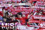 08.03.2025, Fussball 1. Bundesliga 2024/2025, 25. Spieltag,  FC Bayern Mnchen - VfL Bochum, in der Allianz-Arena Mnchen.  Bayernfans schwenken ihre Fanschals. 