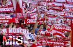 08.03.2025, Fussball 1. Bundesliga 2024/2025, 25. Spieltag,  FC Bayern Mnchen - VfL Bochum, in der Allianz-Arena Mnchen.  Bayernfans schwenken ihre Fanschals.