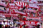 08.03.2025, Fussball 1. Bundesliga 2024/2025, 25. Spieltag,  FC Bayern Mnchen - VfL Bochum, in der Allianz-Arena Mnchen.  Bayernfans schwenken ihre Fanschals.