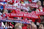 08.03.2025, Fussball 1. Bundesliga 2024/2025, 25. Spieltag,  FC Bayern Mnchen - VfL Bochum, in der Allianz-Arena Mnchen.  Bayernfans schwenken ihre Fanschals. 