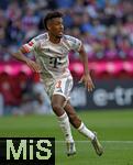 10.05.2025, Fussball 1. Bundesliga 2024/2025, 33. Spieltag,  FC Bayern Mnchen - Borussia Mnchengladbach, in der Allianz-Arena Mnchen. Kingsley Coman (FC Bayern Mnchen) spurtet