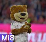 10.05.2025, Fussball 1. Bundesliga 2024/2025, 33. Spieltag,  FC Bayern Mnchen - Borussia Mnchengladbach, in der Allianz-Arena Mnchen. Berni das Bayern Maskottchen in neuen Trikot